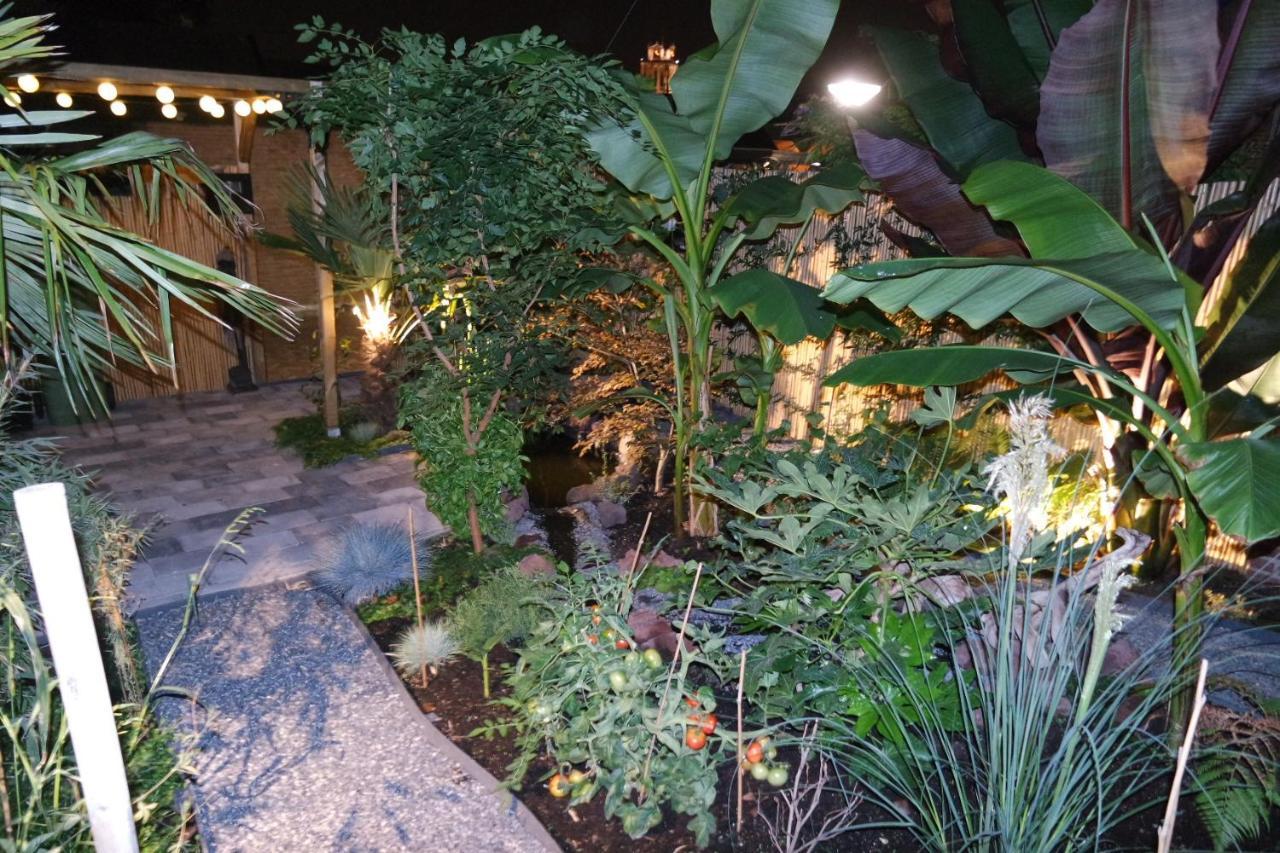 Jungle Stay In A Hidden Paradise Zwijndrecht Exterior photo