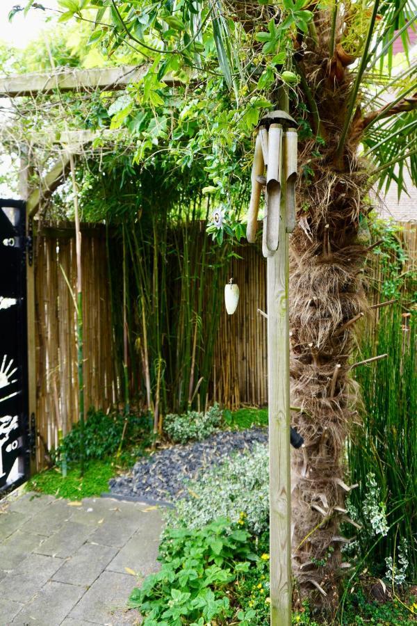 Jungle Stay In A Hidden Paradise Zwijndrecht Exterior photo