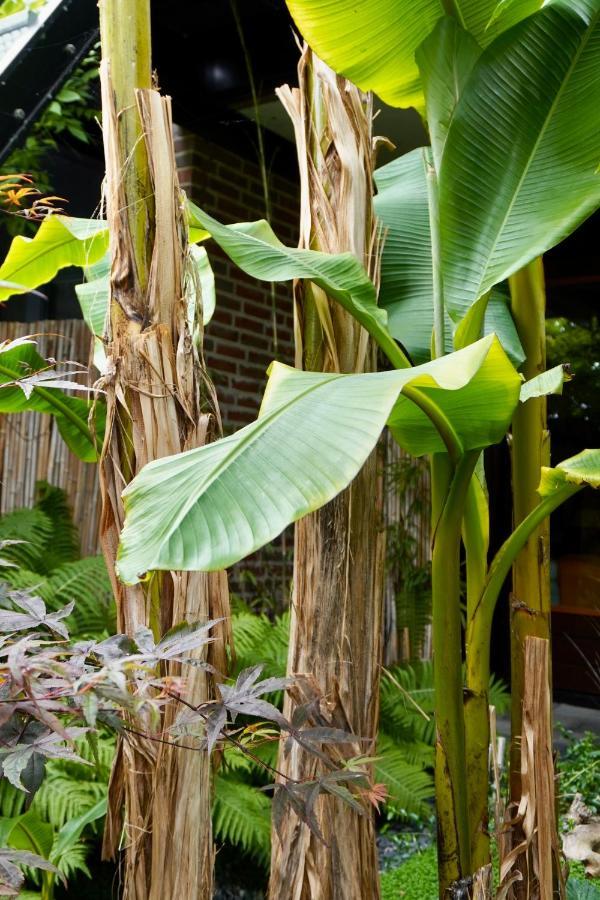 Jungle Stay In A Hidden Paradise Zwijndrecht Exterior photo