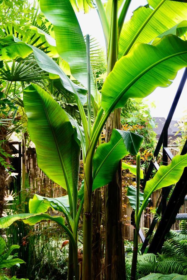 Jungle Stay In A Hidden Paradise Zwijndrecht Exterior photo