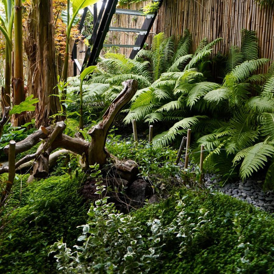 Jungle Stay In A Hidden Paradise Zwijndrecht Exterior photo