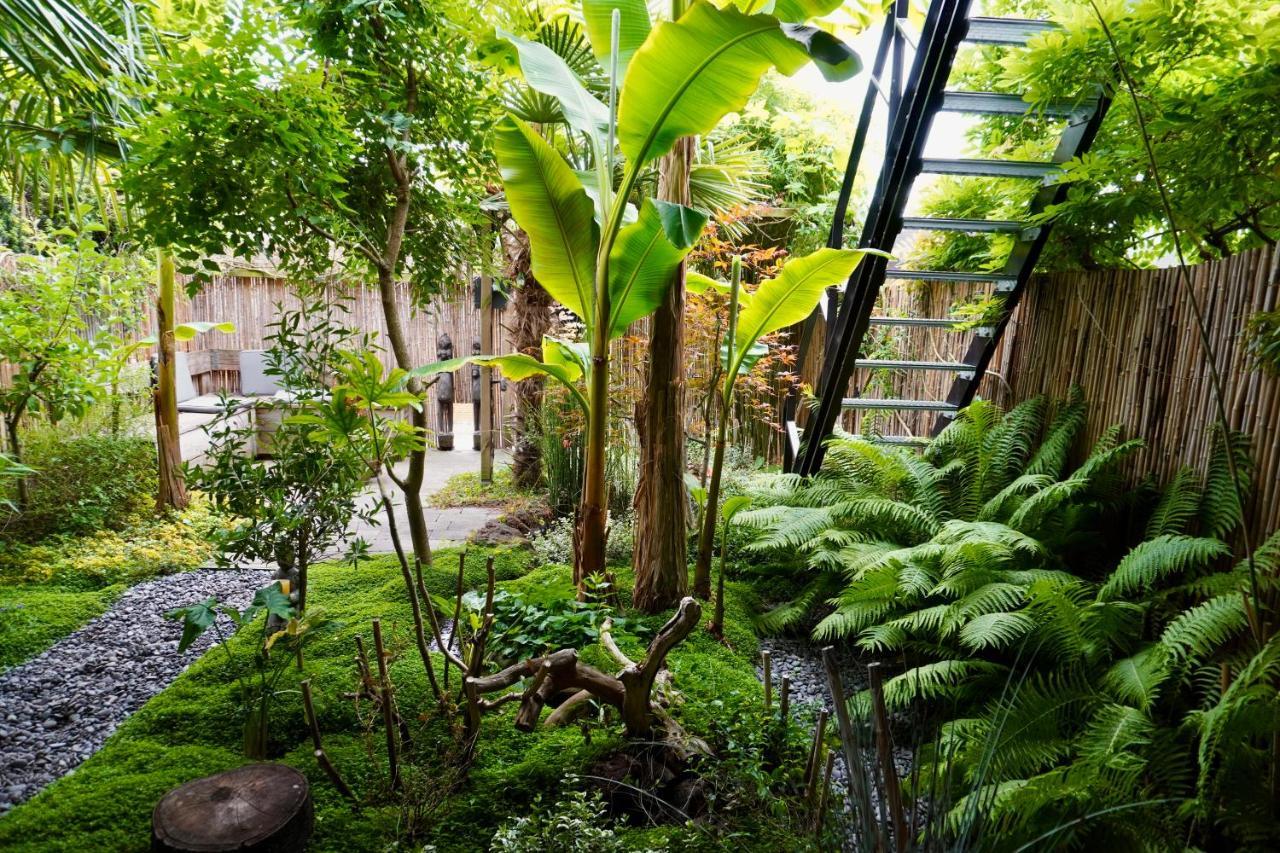Jungle Stay In A Hidden Paradise Zwijndrecht Exterior photo