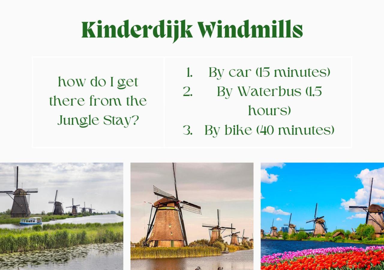Jungle Stay In A Hidden Paradise Zwijndrecht Exterior photo